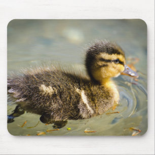Young Baby Duck Mouse Pad