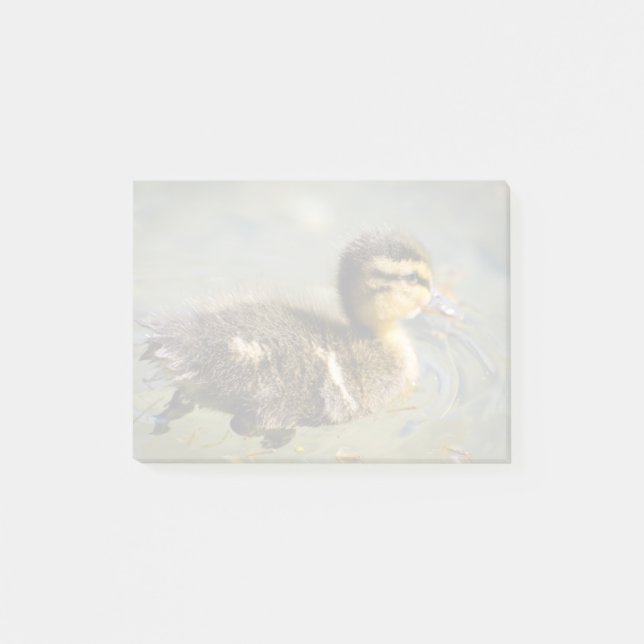 Young Baby Duck Post-it Notes (Front)