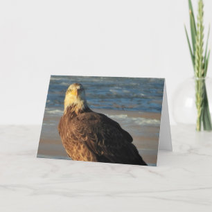 Young Bald Eagle on the Beach Birthday Card