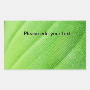 young banana leaf rectangular sticker