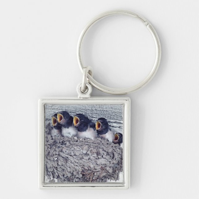 young barn swallows key ring (Front)