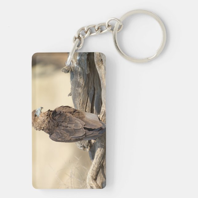 Young Bateleur Key Ring (Back)
