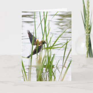 Young Bird in Flight Card