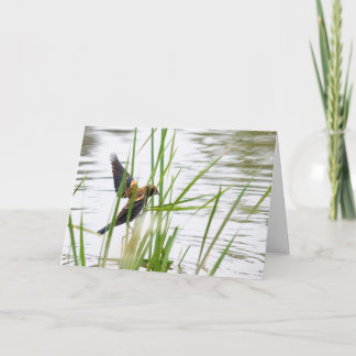 Young Bird in Flight Card