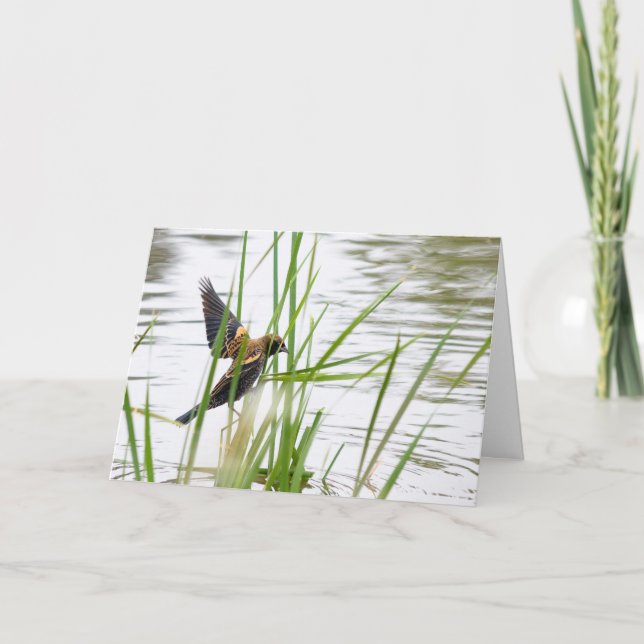 Young Bird in Flight Card (Front)