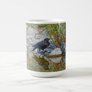 Young Black Raven Reflected in Pool Coffee Mug