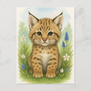 Young Bobcat Kitten Cat Baby Wild Animals Postcard