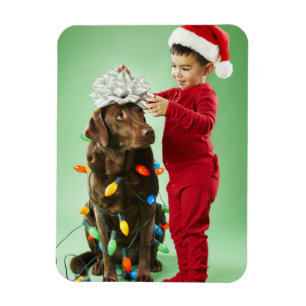 Young boy wrapping Christmas lights around a dog Magnet