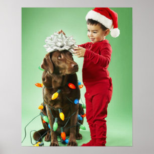 Young boy wrapping Christmas lights around a dog Poster