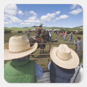 Young boys take in the 2007 Hughes Ranch Square Sticker