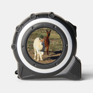 Young Brown And White Alpacas, Tape Measure 1