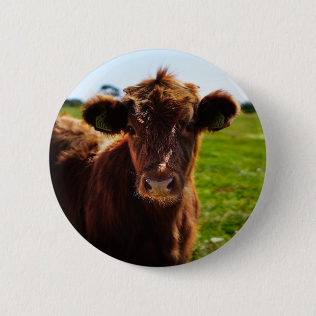 Young Brown Cow in Pasture Field 6 Cm Round Badge (Front)