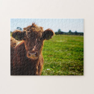 Young Brown Cow in Pasture Field Jigsaw Puzzle