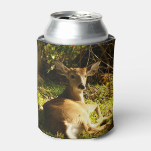 Young Buck in the Meadow Can Cooler