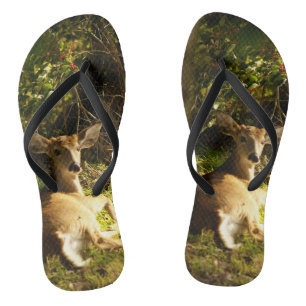 Young Buck in the Meadow Thongs