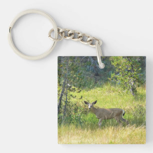 Young Buck in Yosemite, California Key Ring