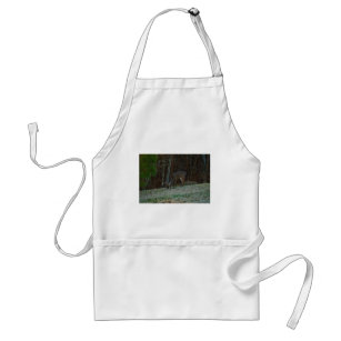 Young Buck Stag Deer Feeding Standard Apron