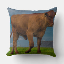Young bull photo pillow