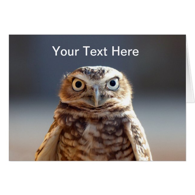 Young Burrowing Owl (Front Horizontal)