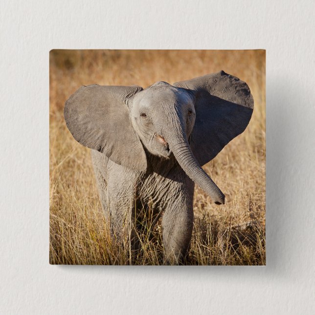 Young Bush Elephant 15 Cm Square Badge (Front)