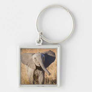 Young Bush Elephant Key Ring