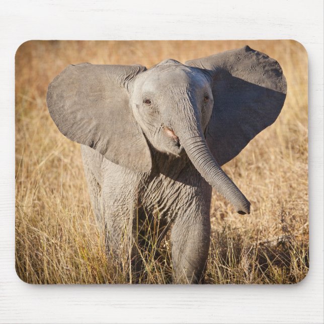 Young Bush Elephant Mouse Pad (Front)