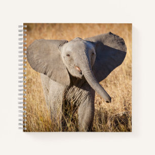 Young Bush Elephant Notebook