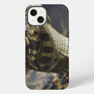 Young cayman in water with reflection iPhone 13 case