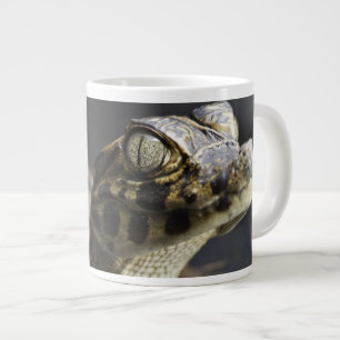Young cayman in water with reflection large coffee mug