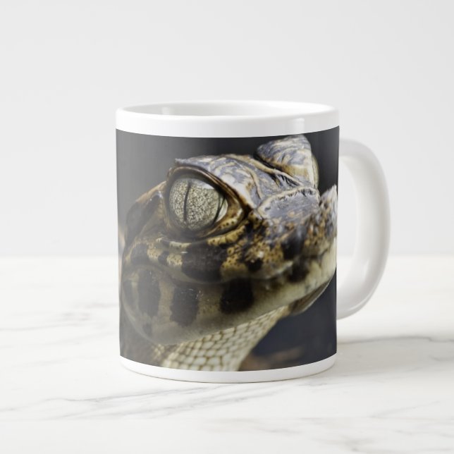 Young cayman in water with reflection large coffee mug (Front Right)