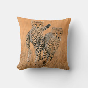 Young Cheetahs (Acinonyx Jubatus) Running Cushion