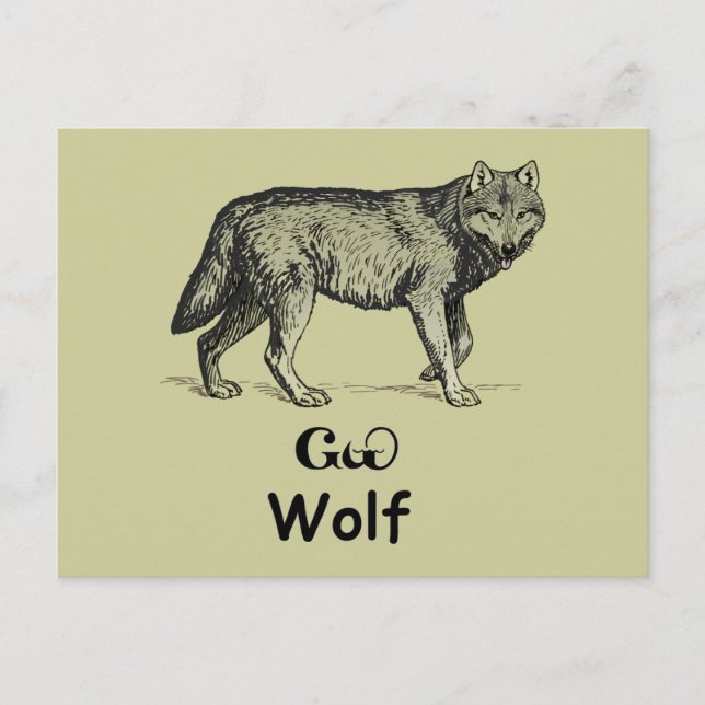 Young Cherokee Wolf Postcard (Front)