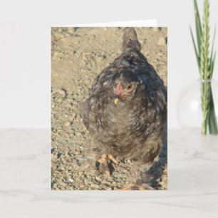 Young Chicken Card