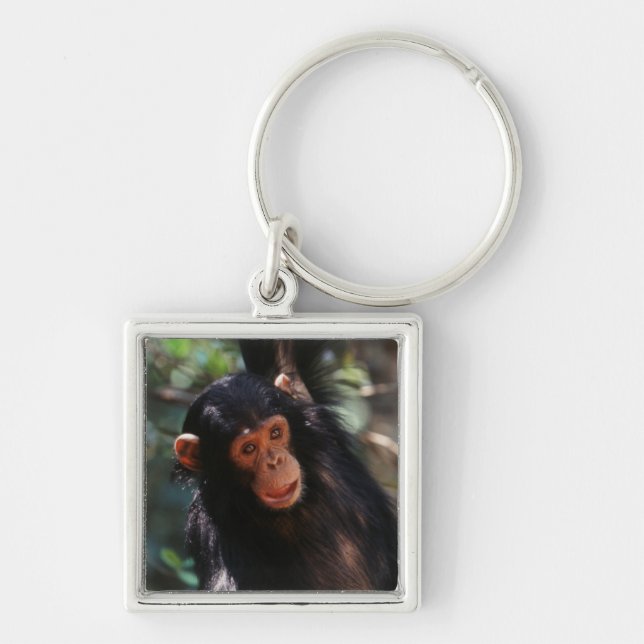 Young Chimpanzee Key Ring (Front)