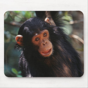 Young Chimpanzee Mouse Pad