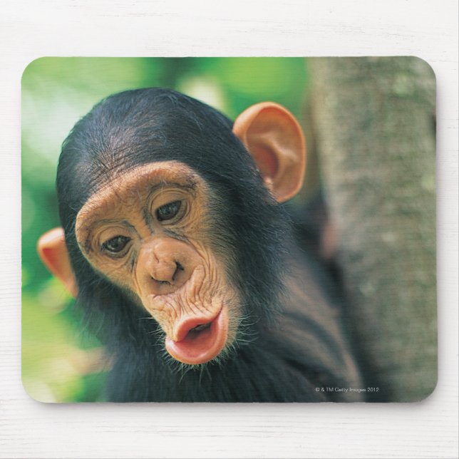 Young Chimpanzee (Pan troglodytes) Mouse Pad (Front)