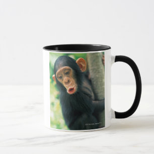 Young Chimpanzee (Pan troglodytes) Mug