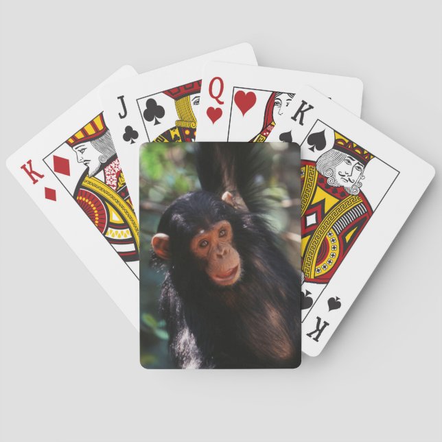 Young Chimpanzee Playing Cards (Back)