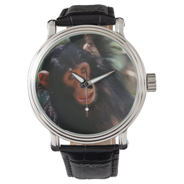 Young Chimpanzee Watch (Front)