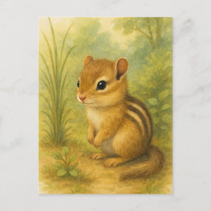 Young Chipmunk Baby Wild Animals Postcard