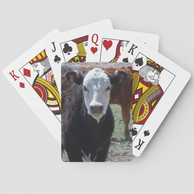 Young Cow Black and White Face Western Playing Cards (Back)