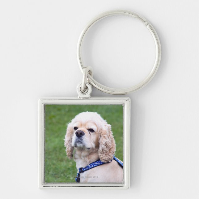 Young cute dog posing. key ring (Front)