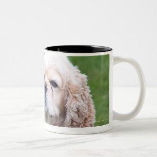 Young cute dog posing. Two-Tone coffee mug
