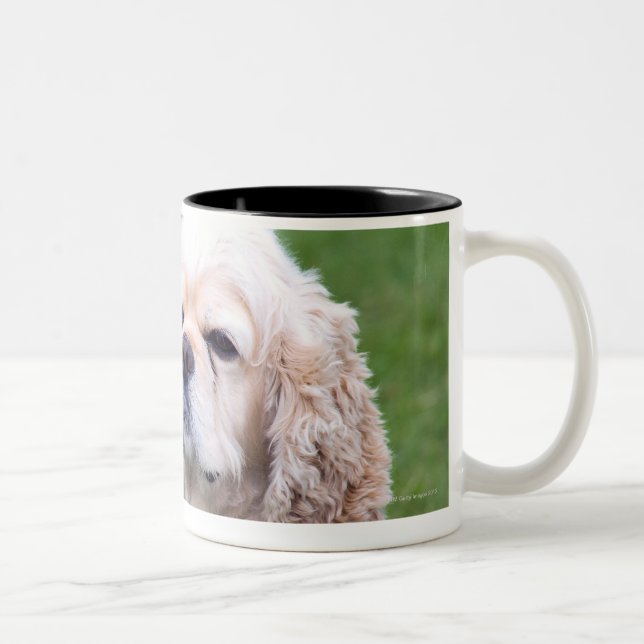 Young cute dog posing. Two-Tone coffee mug (Right)