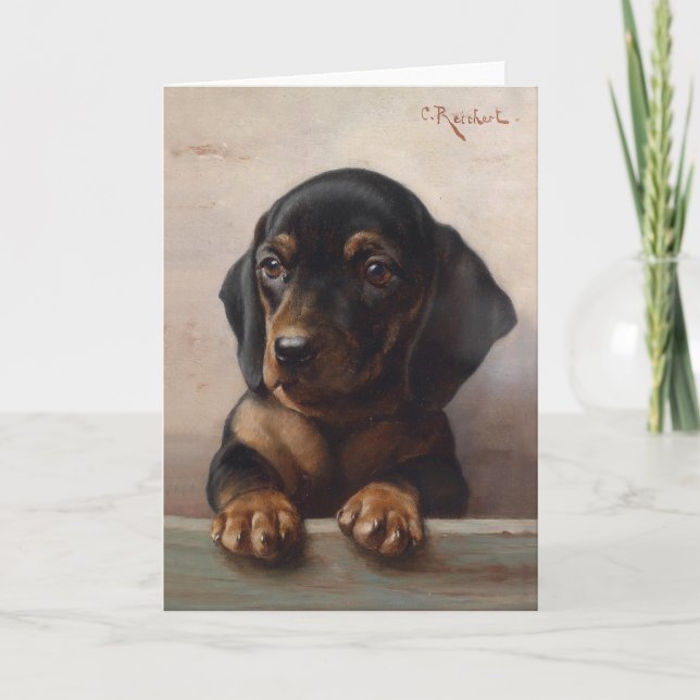 Young Dachshund | Carl Reichert Card (Front)