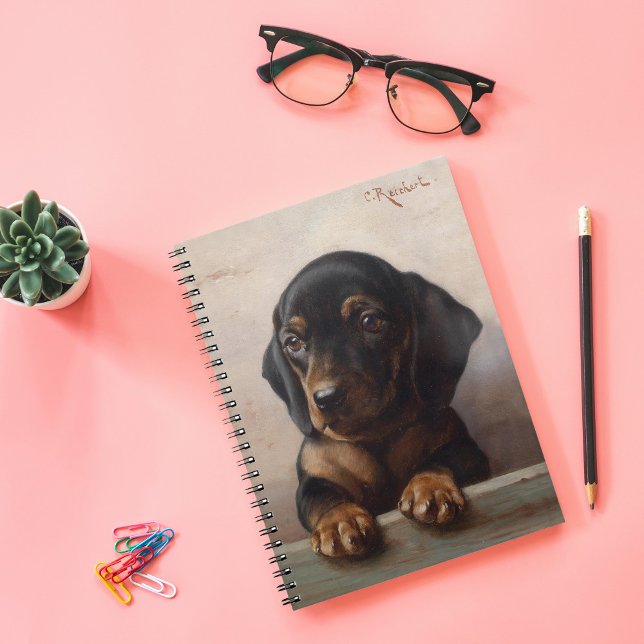 Young Dachshund | Carl Reichert Notebook (Creator Uploaded)
