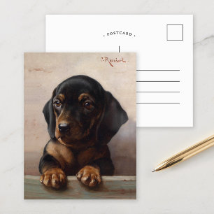 Young Dachshund   Carl Reichert Postcard