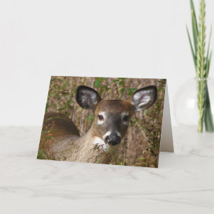 Young Deer Dia del Padre Card