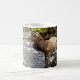 Young Deer in River Mug