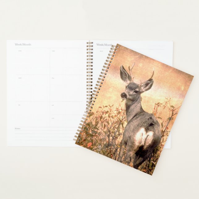 Young Deer in Wildflowers with Grungy Texture Art Planner (Display)